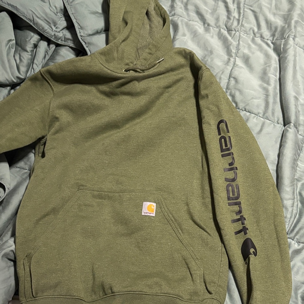 Carhartt Men's Green Hoodie with Logo Sleeve